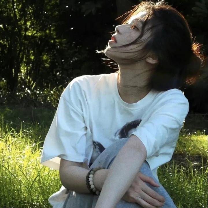 温德斯:狂野旅程